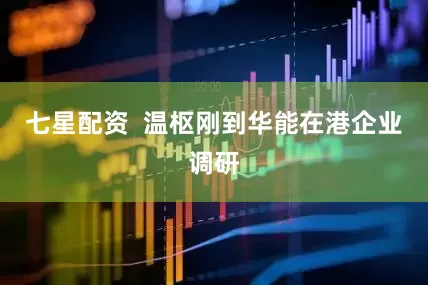 七星配资  温枢刚到华能在港企业调研