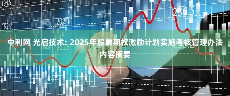 中利网 光启技术: 2025年股票期权激励计划实施考核管理办法内容摘要